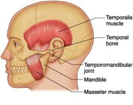 Douleur à la machoire: Syndrôme algo dysfonctionnel de l'appareil ...